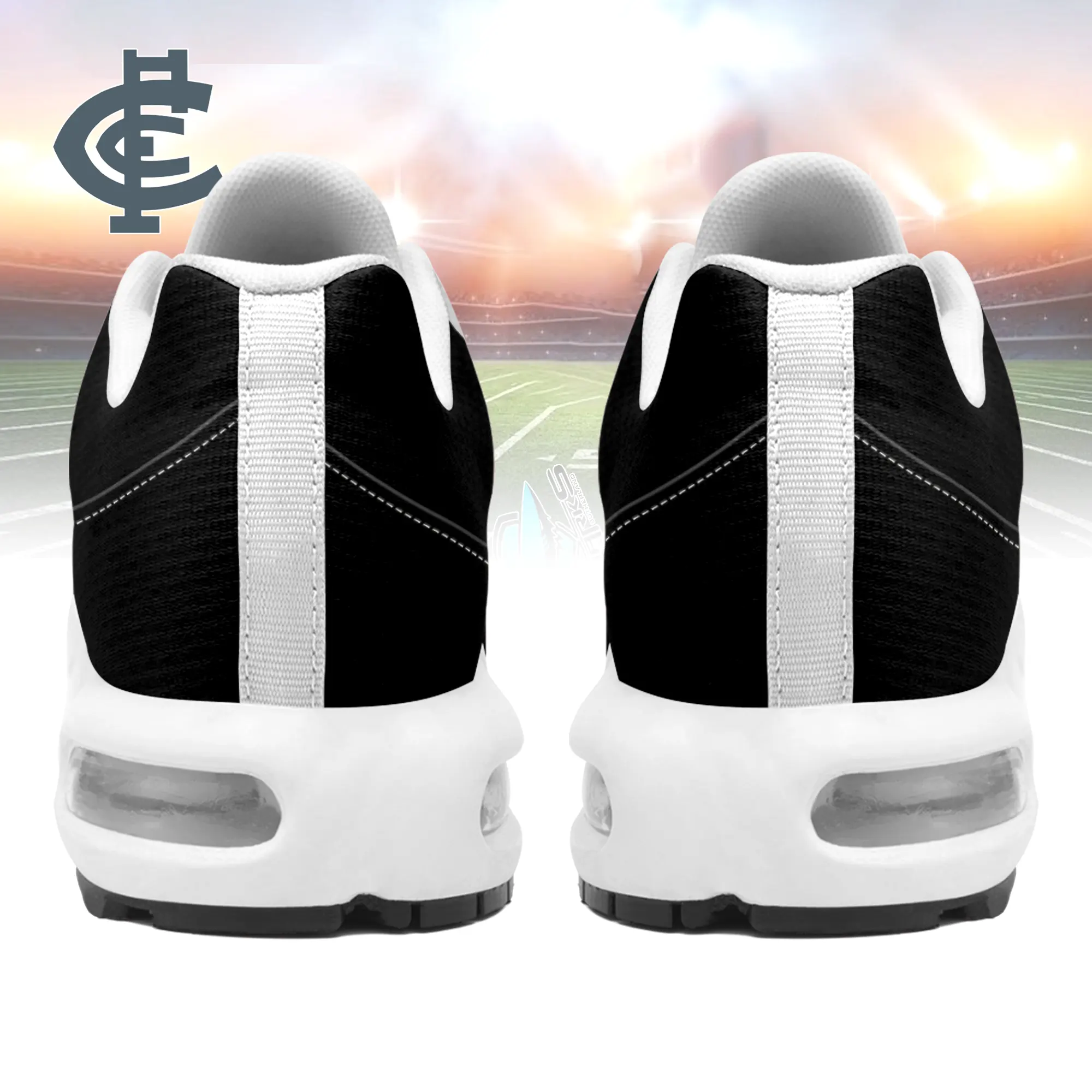 Carlton Blues Sports Air Max Plus Sneakers For Men And Women Carlton Blues Sports Air Max Plus Sneakers For Men And Women