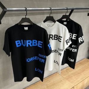 Limited Edition Luxury Brand Unisex T-shirt Hot Gift 2024 PEA345430