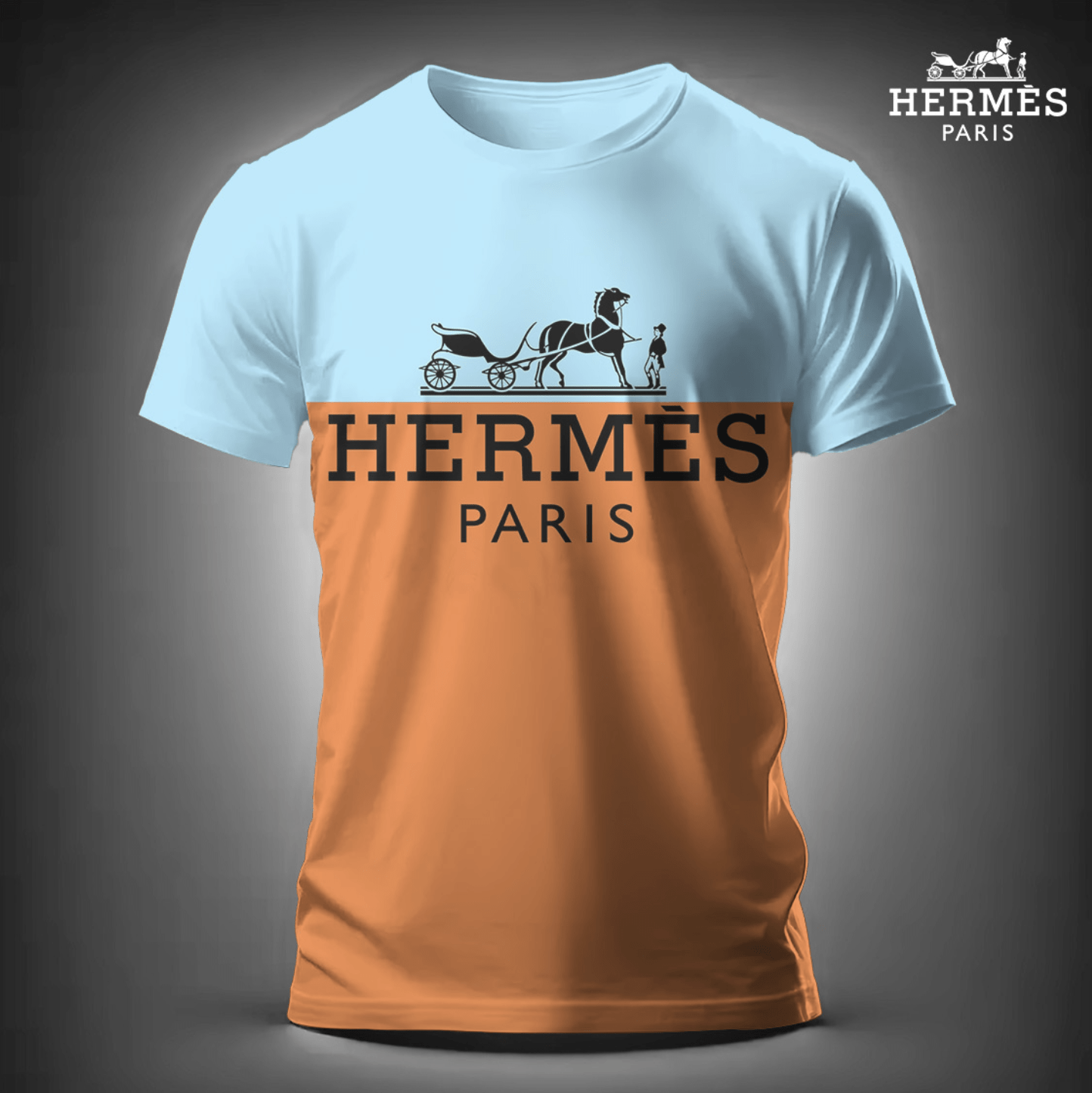 New Release: Luxury Brand Men’s T-shirt-HD4979